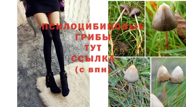 гашик Аркадак