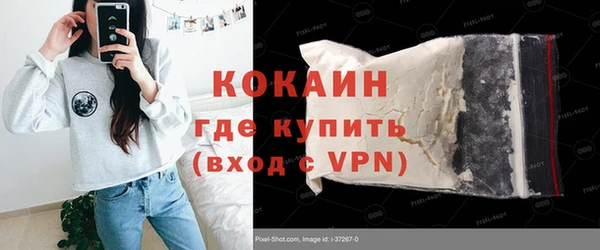 гашик Аркадак
