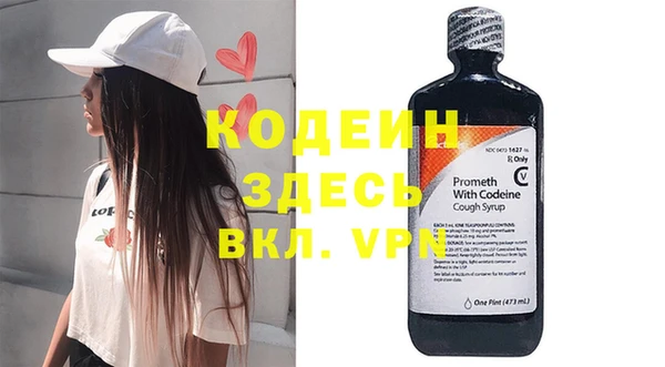 индика Нягань
