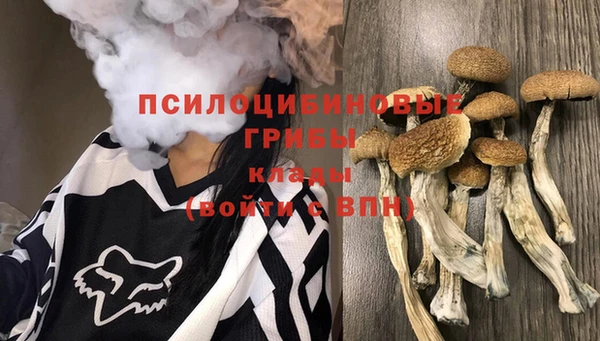 МДМА Арсеньев