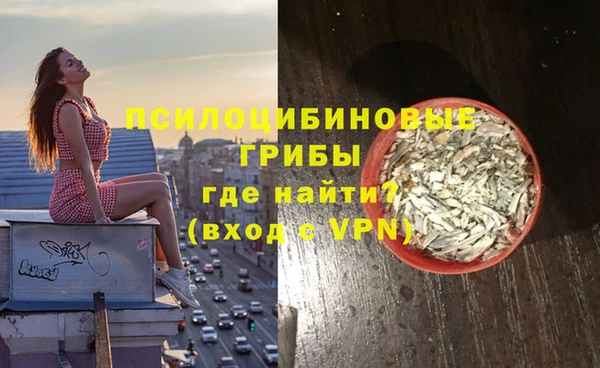 гашик Аркадак