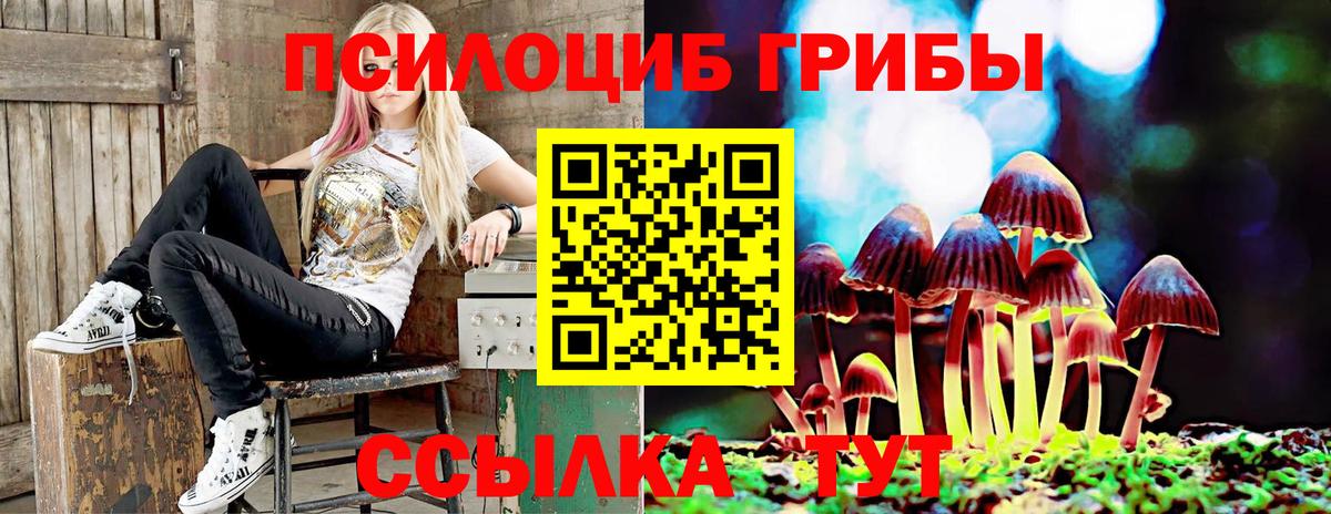 Псилоцибиновые грибы ЛСД  Вход с VPN  Псилоцибиновые грибы мухоморы  Пушкино 