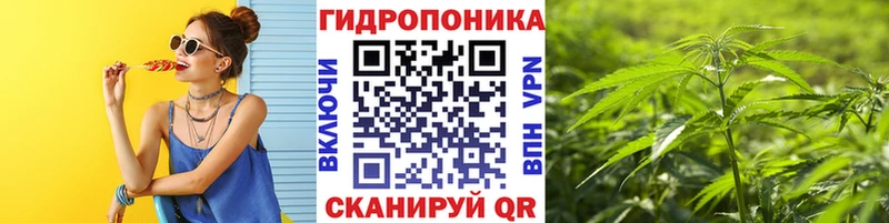гидра ссылка  Пушкино  МАРИХУАНА White Widow 